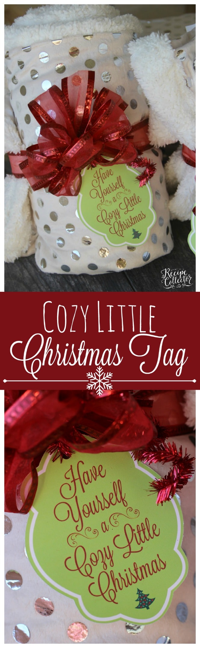 cozy-little-christmas-tag-gift-idea-diary-of-a-recipe-collector
