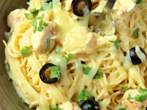 White Chicken Enchilada Pasta Diary Of A Recipe Collector