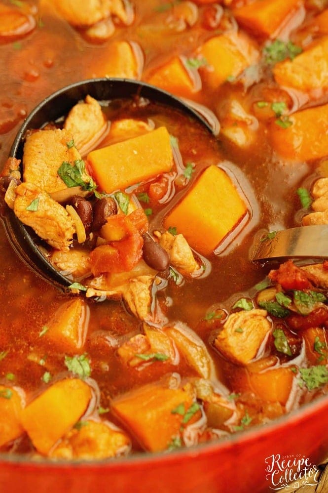 Mexican Chicken, Black Bean, & Sweet Potato Soup - Diary of A Recipe ...