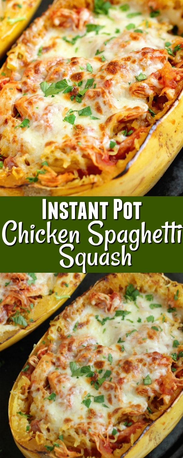 Instant Pot Chicken Spaghetti Squash - Diary of A Recipe Collector