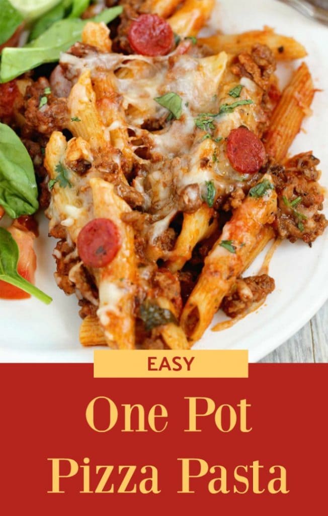 Easy One Pizza - Diary of A Recipe Collector