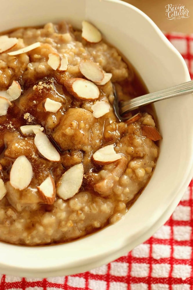 Overnight Slow Cooker Apple Cinnamon Oatmeal - Diary of A Recipe