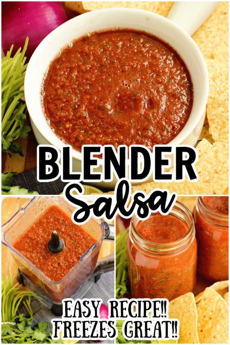 Easy Blender Salsa Recipe Diary of A Recipe Collector